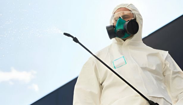Pest Control Princes Hill